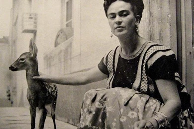 Real Life Is Elsewhere: The Story tellers, Part 19