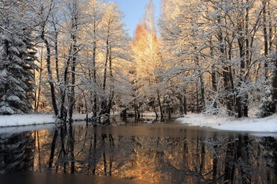 Winter Season Wallpapers   Free Wallpapers, Download Wallpapers ...