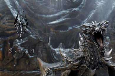 2560x1440 Dragon Skyrim Wallpapers