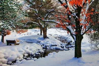 Gallery For   Early Winter Wallpapers