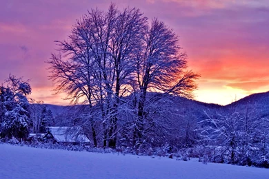 Top Hd Stupendous Winter Sunset Images For Pinterest