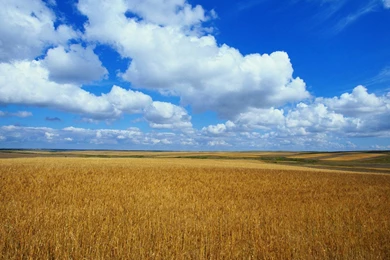 Free Microsoft Desktop Backgrounds