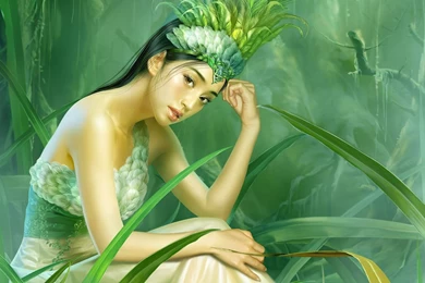 The Girl In Green Grass Wallpapers