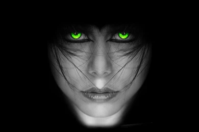 The Trailer For The Choice