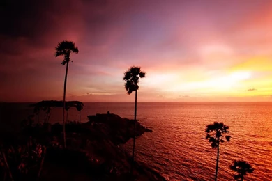 Laptop Backgrounds Pictures