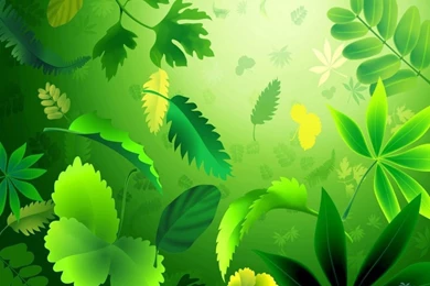 Top All Kinds Of Wallpaper Images For Pinterest