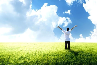 Summer Day Wallpapers   Crazy Frankenstein