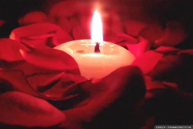 Love Emotions Wallpapers   Crazy Frankenstein