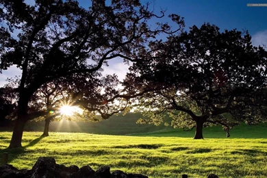 Best 1080p Wallpapers Desktop Backgrounds