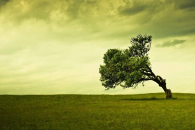 Best_Laptop_Wallpapers_Hd (10) – Amazing Trends