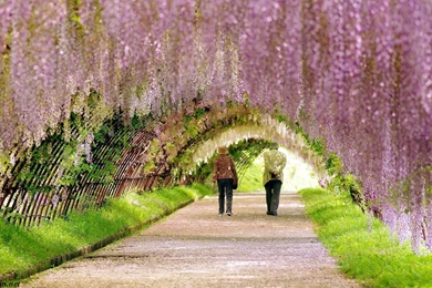 Full hd wallpapers for laptop.jpg