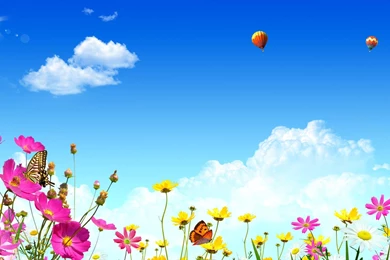 Balloons HD 1920x1080