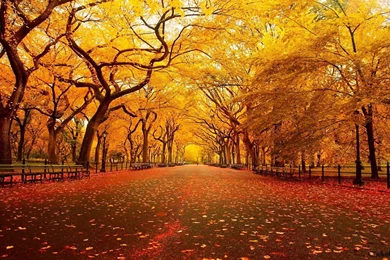 Autumn Fall Season Wallpapers Desktop Background