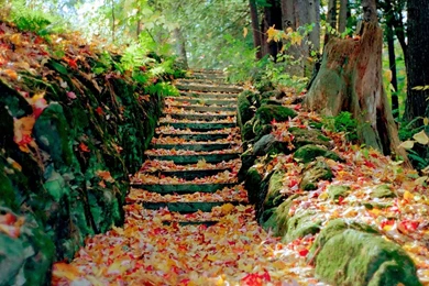 Beautiful Screensaver Seasons Autumn Wallpapers   Zibrato