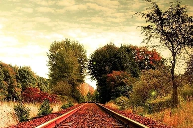 Travel Tree Road Nature Sky iPhone 6 Wallpapers HD And 1080P 6 ...