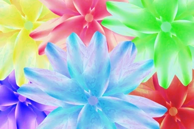 Bright flower hd wallpapers.jpg