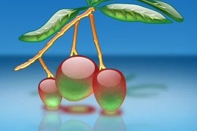 Iphone 5 wallpapers hd 1524 xvamg.jpg