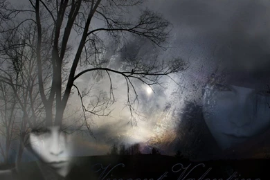 Vincent Valentine Wallpapers By Vampire chic On DeviantArt