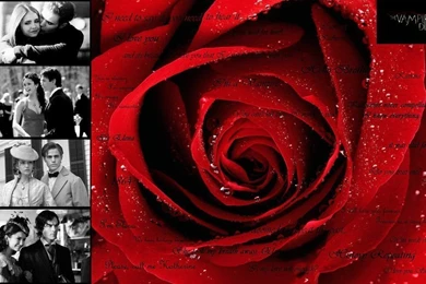 The Vampire Diaries Backgrounds By Nifflerat221b On DeviantArt