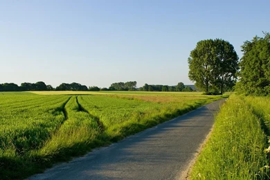 Download Nature Wallpapers HD 6678 1920x1200 Px High Resolution ...