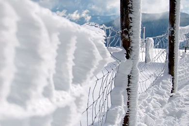 Nature Snow Wallpapers 112846