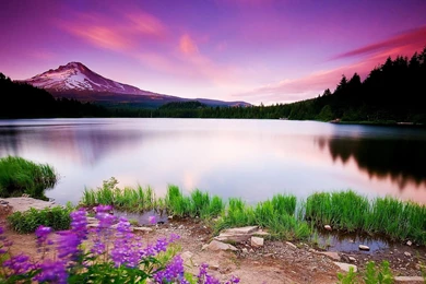 Natural Scenery Wallpapers & Full Quality HD Backgrounds