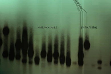 Download Wallpapers 2560x1440 Nine Inch Nails, Background, Cover ...