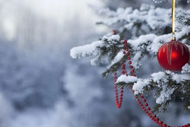 15 Winter Holiday Wallpapers For Your Desktop Here S My Current ...