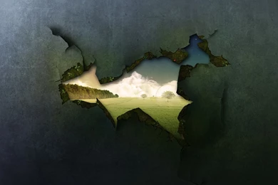 1920x1080 Window To Nature Desktop PC And Mac Wallpapers