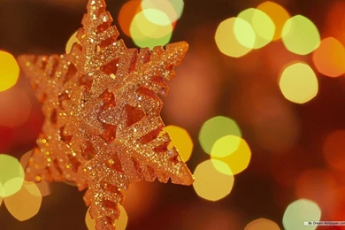 Free Holiday Desktop Backgrounds