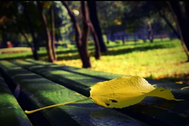 Mac Wallpapers Hd 199185