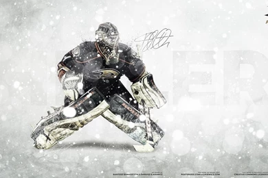 NHL Goalie Series