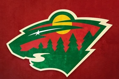IWallpapers   NHL Wild iPhone Backgrounds Design Inspiration