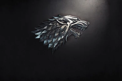 Project: Better Dolphin: September 2012