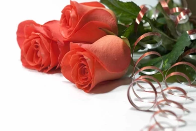 Wedding Flowers Wallpapers   Crazy Frankenstein