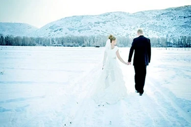 Winter Ideas Wallpapers   Crazy Frankenstein