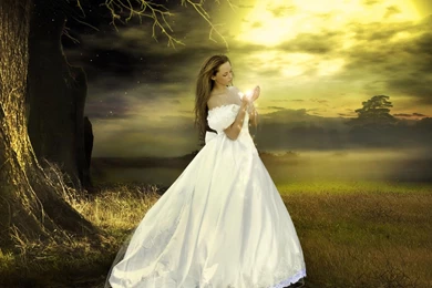 Wedding Flower For Wallpapers For Desktop   Zibrato