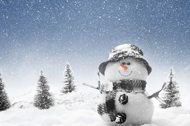 1024x768 Winter Snowman Wallpapers