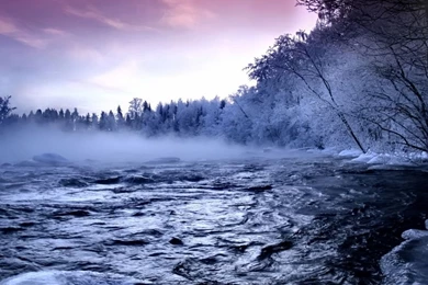 Download Wallpapers 1024x768 River, Ice, Trees, Fog, Current ...