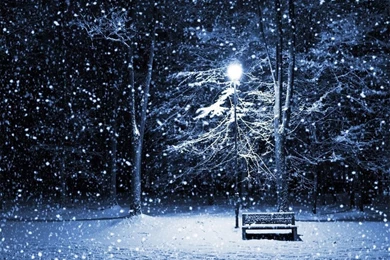 Winter Night Wallpapers   Crazy Frankenstein