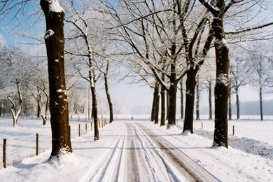 1024x768 Winter Country Road Desktop PC And Mac Wallpapers