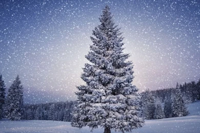 Fairy Tale Winter HD Desktop Wallpapers : High Definition ...