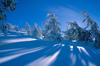 Free Wallpapers   Free Nature Wallpapers   Winter Wonderland 1 ...