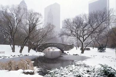 1024x768 Central Park In Winter Desktop PC And Mac Wallpapers