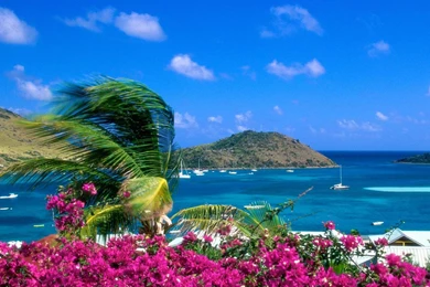 Beach New Wallpapers