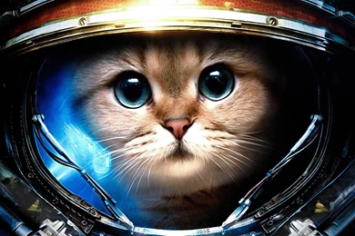 Wallpapers Astronaut Cat With Laser (page 2) Pics About Space