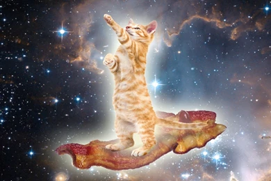 Wallpapers Astronaut Cat With Laser   Pics About Space