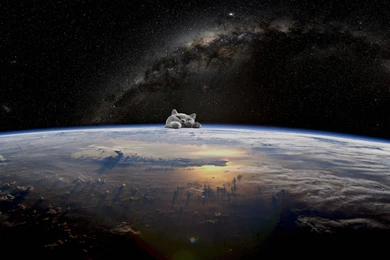 Space Cat Wallpapers...The Invasion Has Begun!! Kneel!!! Album ...