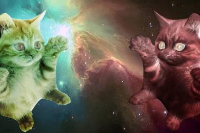 Wallpapers Astronaut Cat With Laser (page 2)   Pics About Space