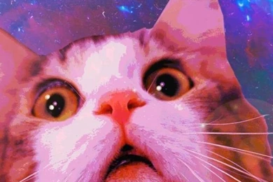 Funny Space Cat iPhone 5 Wallpapers